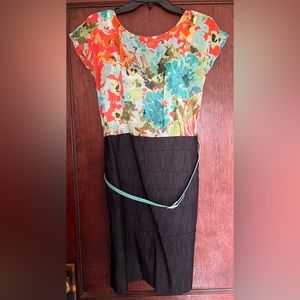 Dressbarn size 12p dress